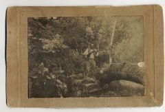 ancetres