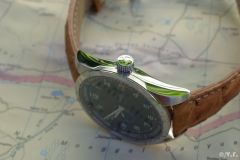 Oris