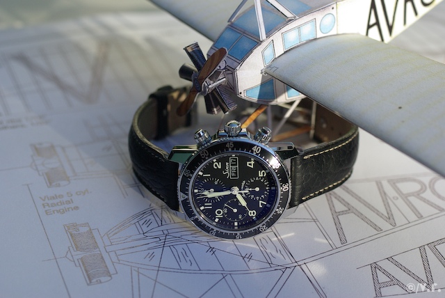 Sinn 103 Avro