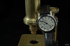 Zenith Port-Royal Dual-Time
