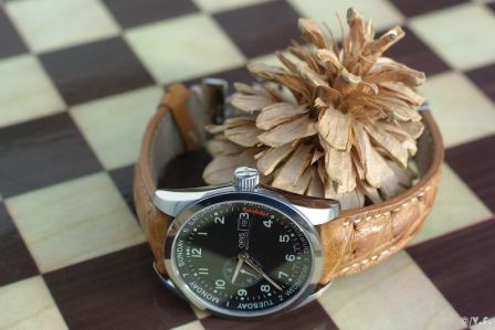 Oris pointer day