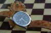 Oris pointer day