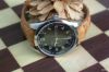 Oris pointer day