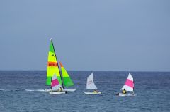 image-5.jpg