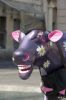 Les Vaches