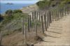 Presqu'ile de Giens
