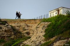 Marseilleveyre