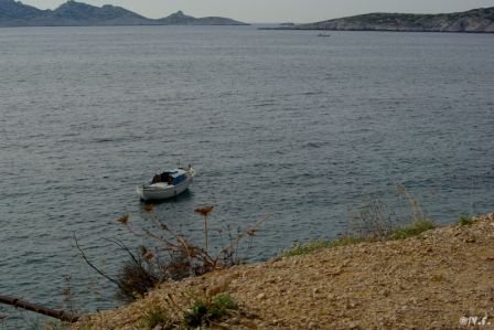 Marseilleveyre