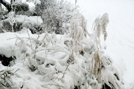 image6.jpg