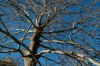 Vallée de Saint Pons