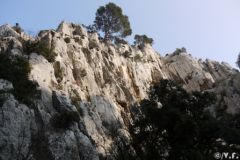 20100213-1.jpg