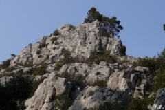 20100213-2.jpg