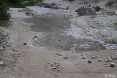 20100213-3.jpg