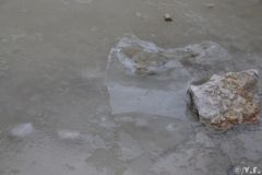 20100213-4.jpg