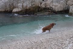 20100213-7.jpg