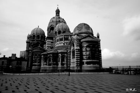 image-11.jpg