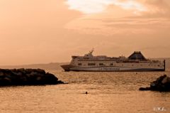 auffes-5.jpg