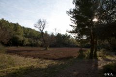 photo-2.jpg