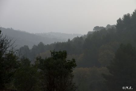 photo-4.jpg