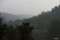 photo-4.jpg