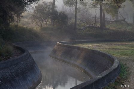 photo-1.jpg