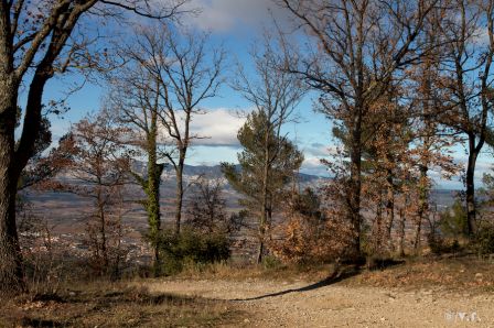 montolympe-1.jpg