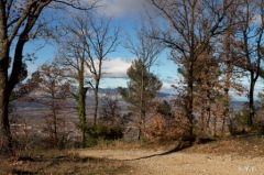 montolympe-1.jpg