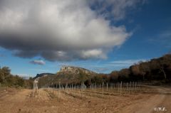 montolympe-2.jpg