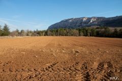 saintebaume-4.jpg