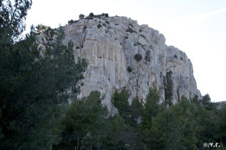 teterouge-1.jpg