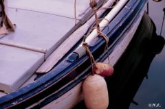 image-3.jpg