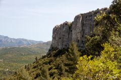 IMG_2737.jpg