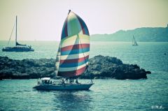 lamer-7.jpg