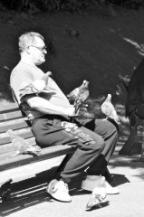 jardin-3.jpg